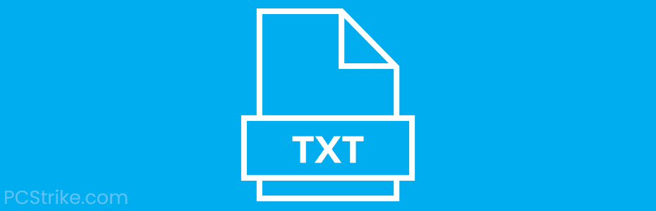 Текстовый файл (TXT)