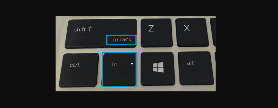 Клавиша блокировки функций Windows (Fn)